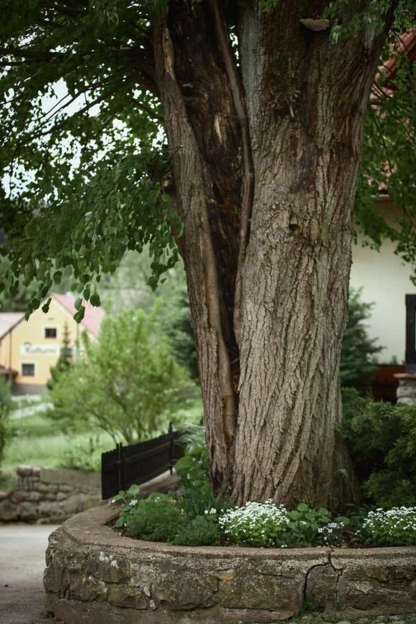 Ferienwohnung Naruby Ubytovani Maršov Exterior foto